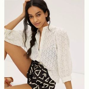 ANTHROPOLOGIE THE BELLA FEMME BUTTONDOWN, SIZE S